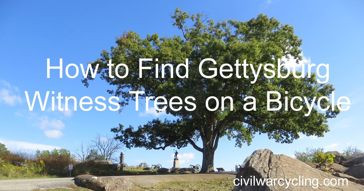 How to Find Gettysburg Witness Trees on a Bicycle